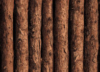 τρισδιάστατη εκλεκτής ποιότητας ασιατική εμπνευσμένη ταπετσαρία σχεδίων δέντρων, αρίστης ποιότητας διακοσμητικές ταπετσαρίες για τους τοίχους